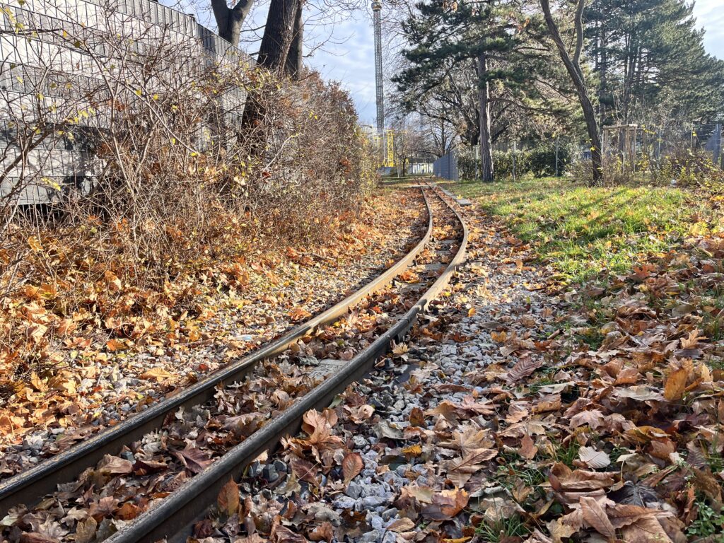 Schienen der Liliputbahn umgeben von heruntergefallen Blättern